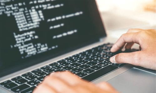 重點大學計算機專業學生，考研還是就業？